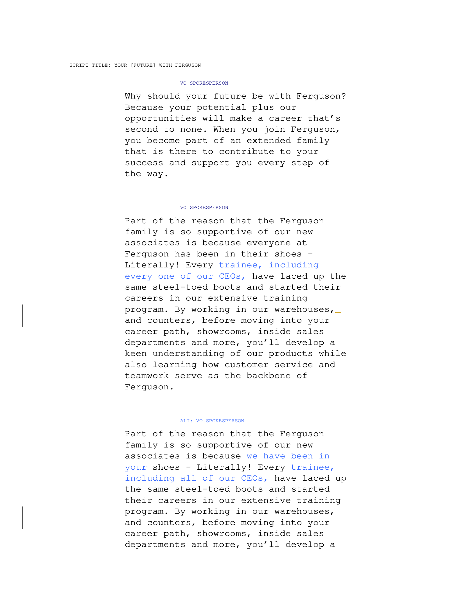 Draft Ferguson recruitment video script